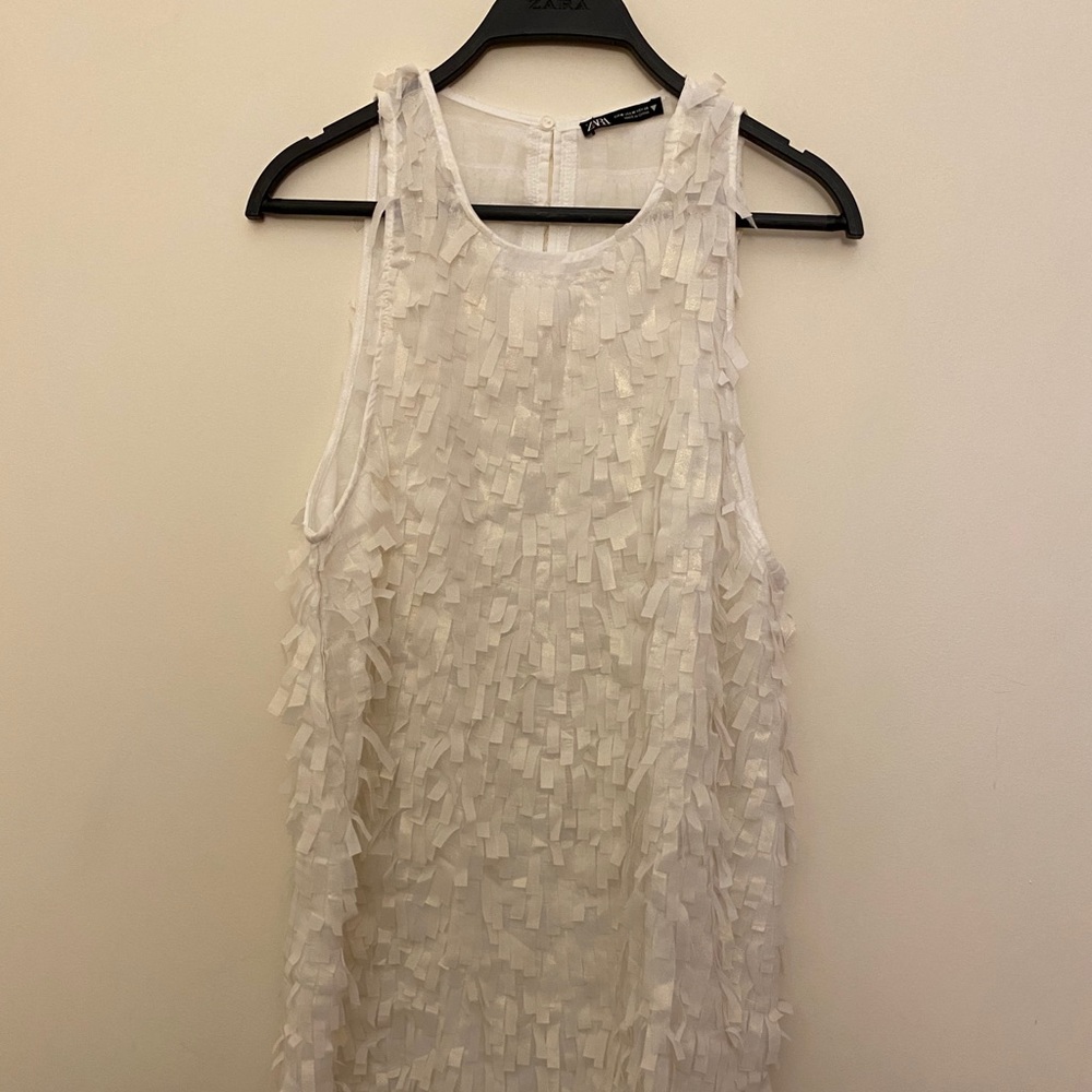Zara sparkly fringed dress TRF